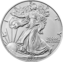 1 oz American Silver Eagle
